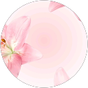Kaila profile picture