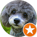 K Yamasaki profile picture